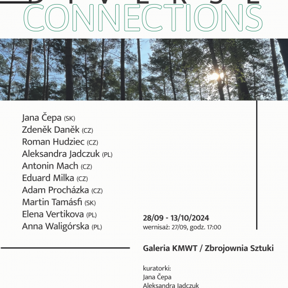 Wystawa Diverse connection / Różnorodne połączenia - 1