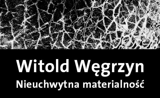 Witold Węgrzyn. Nieuchwytna materialność