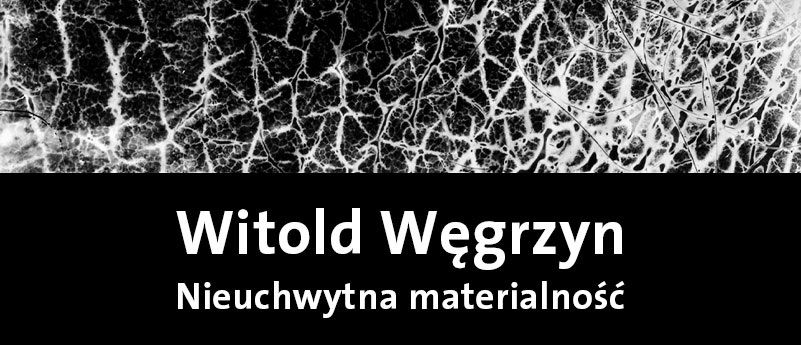 Witold Węgrzyn. Nieuchwytna materialność
