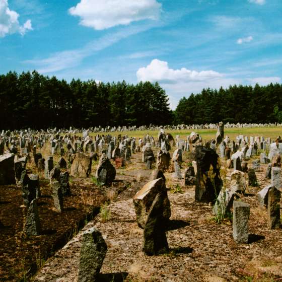 Teren byłego obozu - widok na pole roztrzaskanych kamieni; Treblinka; 1961-1964; I/A/2/112