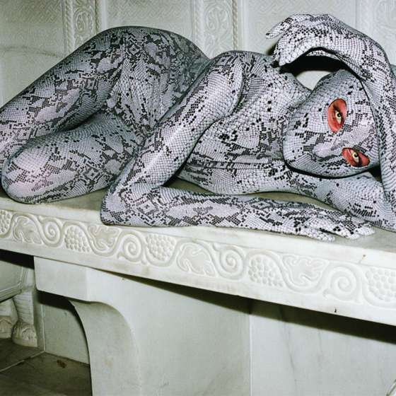 Snakes, dragons and phantoms