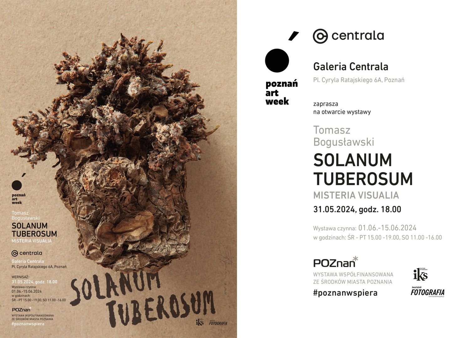 SOLANUM TUBEROSUM Misteria Visualia | Tomasz Bogusławski