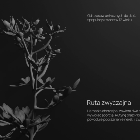 Krauze Piotr_Bez tytułu_3D morfing_Pętla wideo bez dźwięku_HD_02