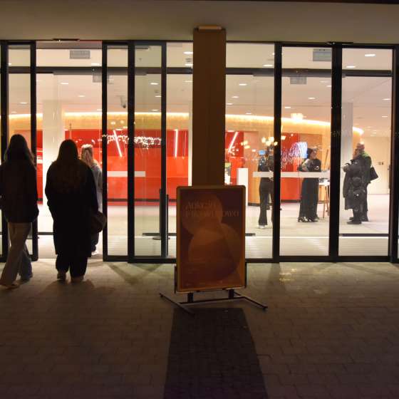 Aukcja Mikołajkowa - charytatywna aukcja sztuki ASP Gdańsk  - 4