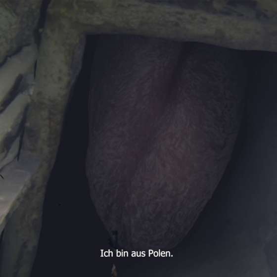 Jestem synem górnika