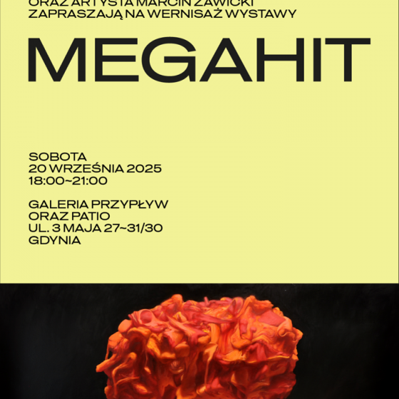 Wystawa Marcina Zawickiego ~ MEGAHIT