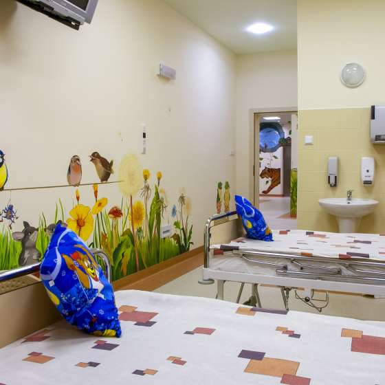 Malowidła [strefy: Wody, Ziemi, Powietrza] – wnętrza Kliniki Pediatrii, Hematologii i Onkologii Uniwersyteckiego Centrum Klinicznego, Program „W kolorze mniej boli”; Gdańsk