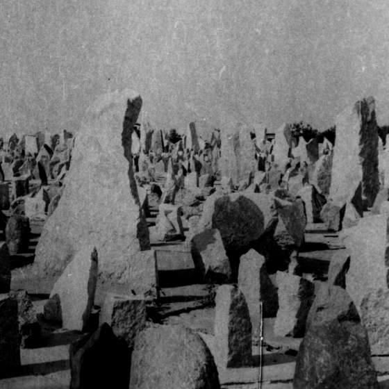 Teren byłego obozu - widok na pole roztrzaskanych kamieni; Treblinka; 1961-1964; I/A/2/44