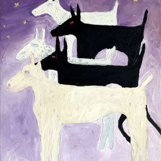 pieski faraona, olej na płótnie, 70x60 cm 