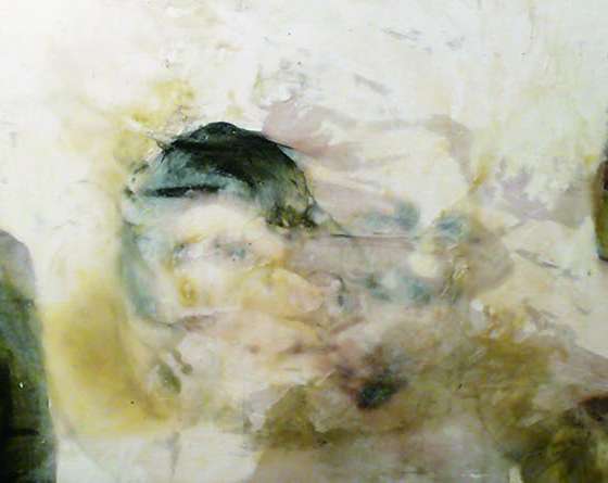 Cerebrum