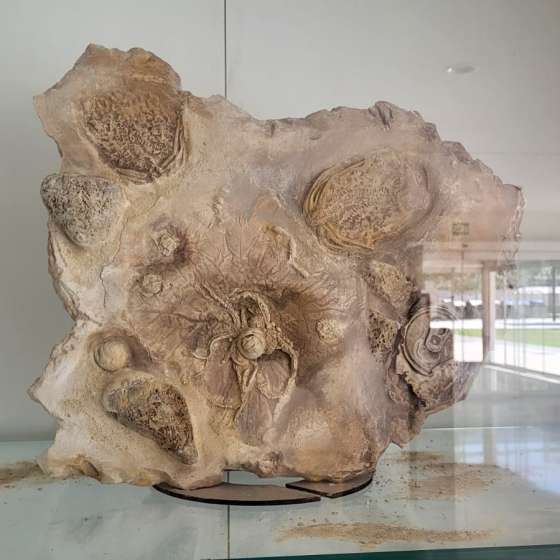 POSTANTHROPOCENE - 14