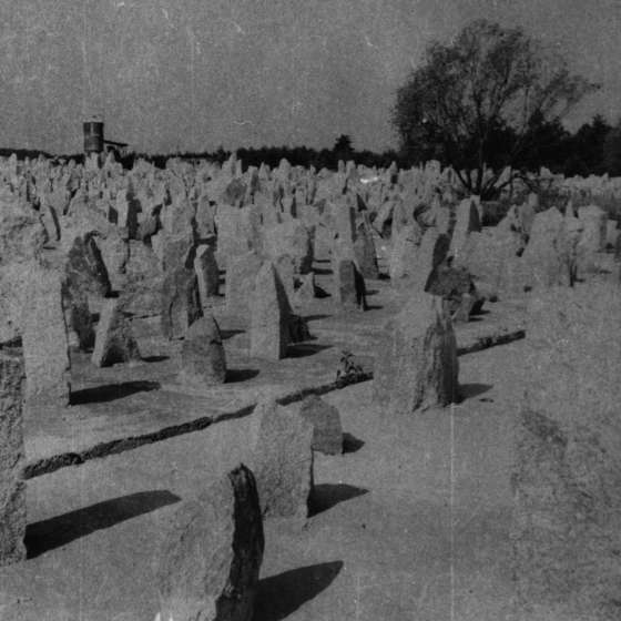 Teren byłego obozu - widok na pole roztrzaskanych kamieni; Treblinka; 1961-1964; I/A/2/43