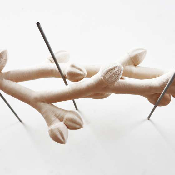 risk, Marta Branicka 2021