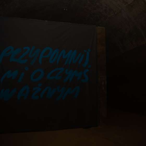 Elena Vertikova. Wystawa MATKA WODA - 9