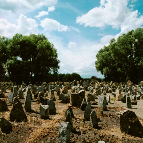 Teren byłego obozu - widok na pole roztrzaskanych kamieni; Treblinka; 1961-1964; I/A/2/115