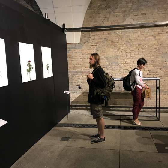 Galeria studencka Start przedstawia ekspozycję „Recycled” - 6