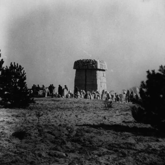 Teren byłego obozu - widok na rzeźbę; Treblinka; 1961-1964; I/A/2/50