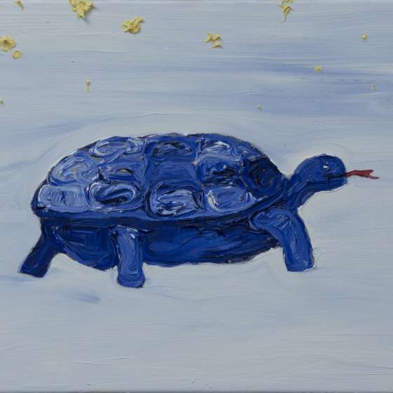 żółw, olej na płótnie, 40x50 cm