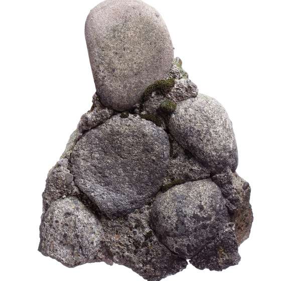 W górę rzeki