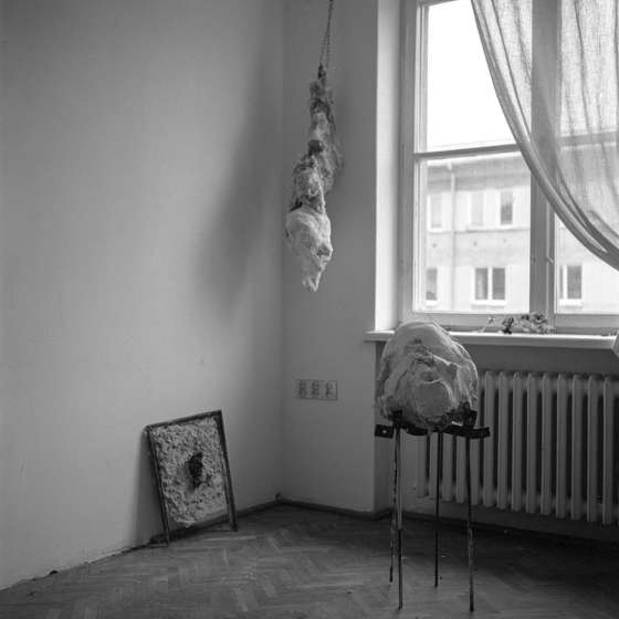 Krystian Jarnuszkiewicz, Comfort Zone, 2018/2019