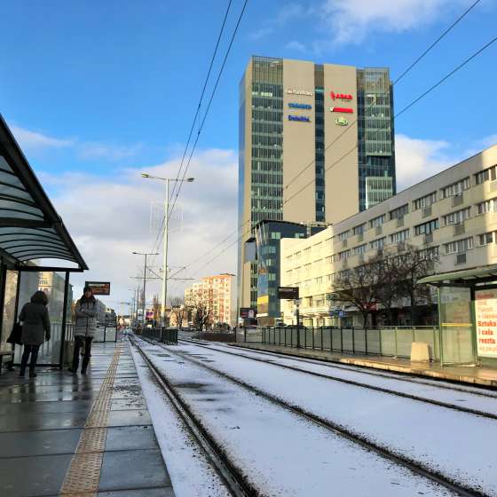 Sztuka. I cała reszta. - 11