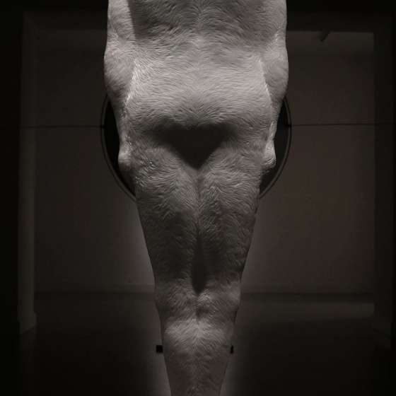 Między światłem, Rzeźba / parafina , sklejka (75x50x50 cm) | Obiekt stal, mosiądz, fotografia na plexi (280x280x40 cm)