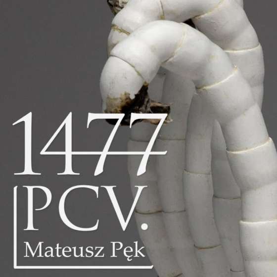 1477 PCV. | Mateusz Pęk - 1