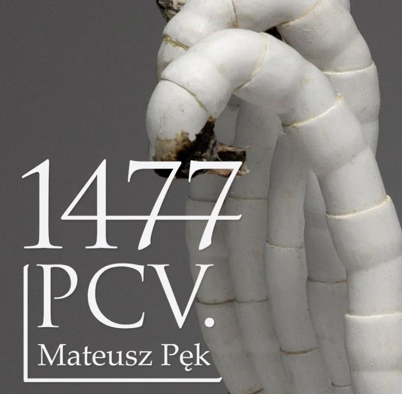 1477 PCV. | Mateusz Pęk