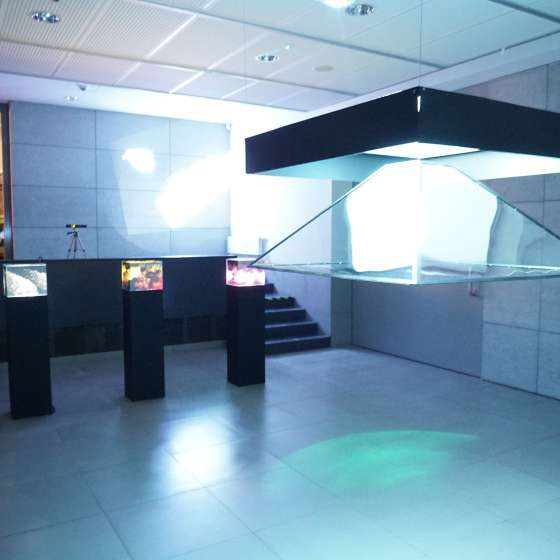 Laboratorium życia