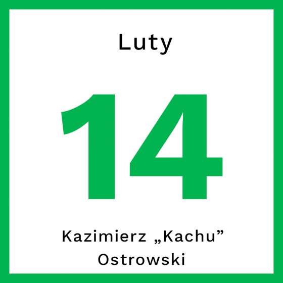 Pojekt graficzny Mikołaj Sałek / Realizacja Marzena Świniarska