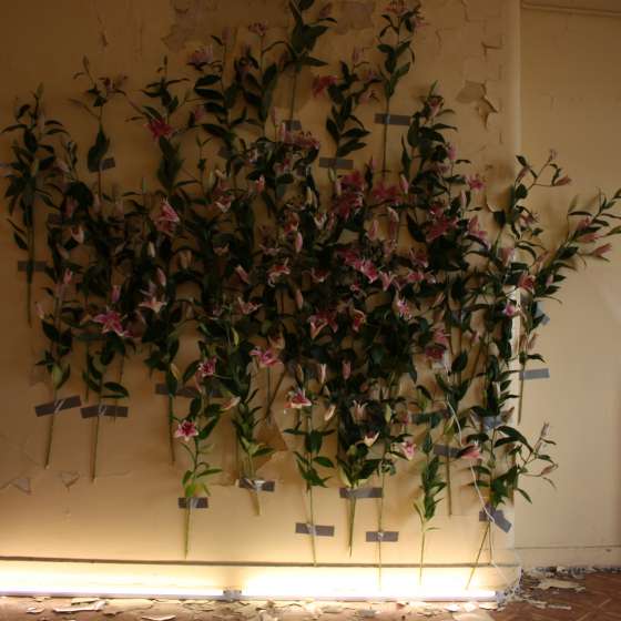 Wallflowers