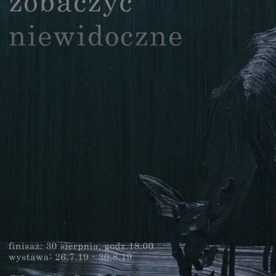 „Zobaczyć niewidoczne“ wystawa Anety Kublik