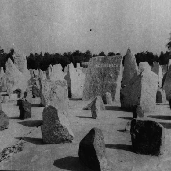 Teren byłego obozu - widok na pole roztrzaskanych kamieni; Treblinka; 1961-1964; I/A/2/46
