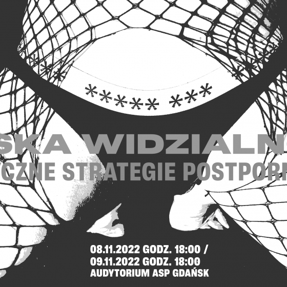 Troska Widzialności: artystyczne strategie postpornografii