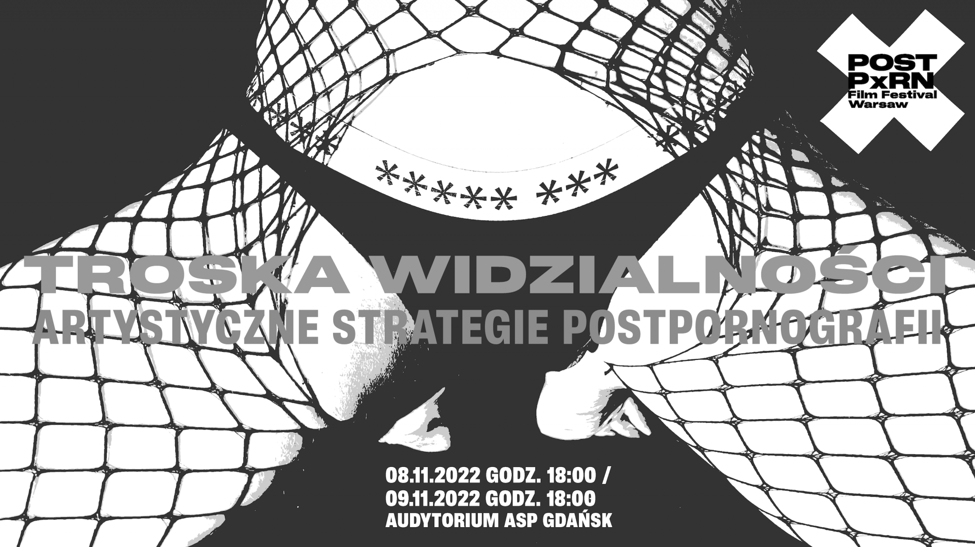 Troska Widzialności: artystyczne strategie postpornografii