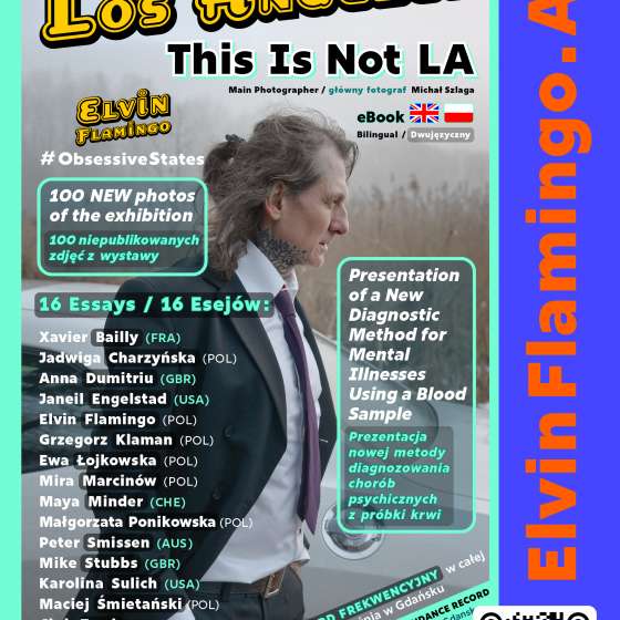 Elvin Flamingo: To nie jest Los Angeles | E-book 