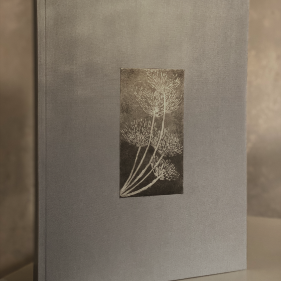 Utracone marzenia. Picturebook pt. „Dom marzycieli”