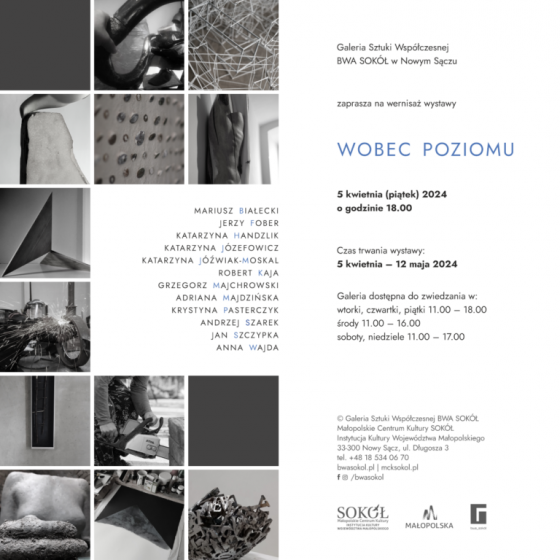 Wystawa „Wobec poziomu” | Gdańsk – Cieszyn  - 1