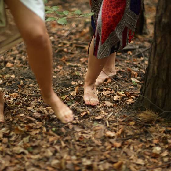 FOREST WORKSHOP