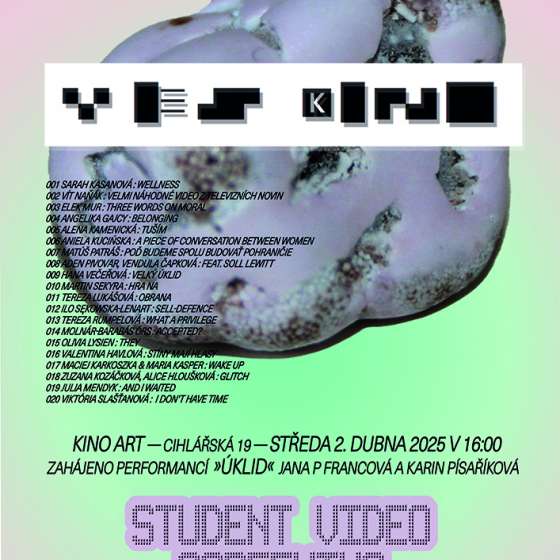 ASP w Brnie – sztuka wideo bez granic - 8