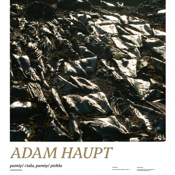 Adam Haupt. Pamięć ciała, pamięć piekła