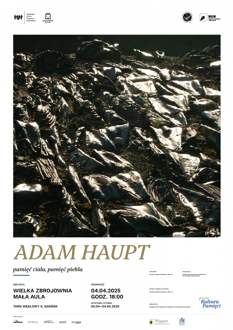 Adam Haupt. Pamięć ciała, pamięć piekła