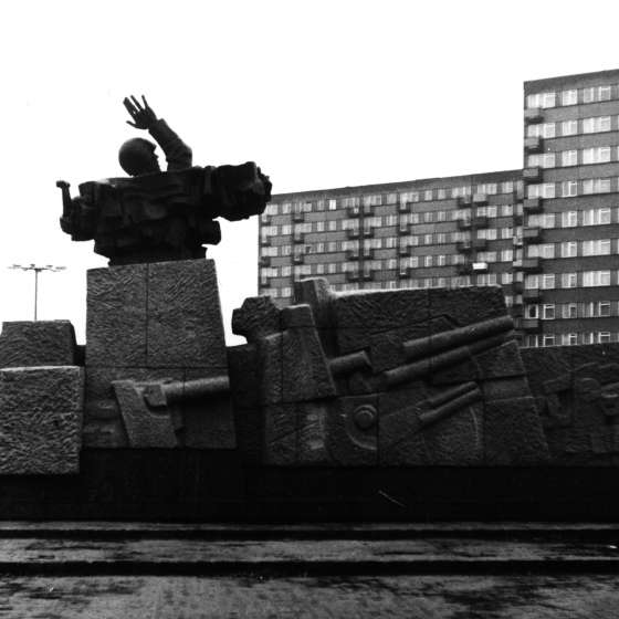 Ogólny widok pomnika; Toruń; 1978-1980; I/A/6/57