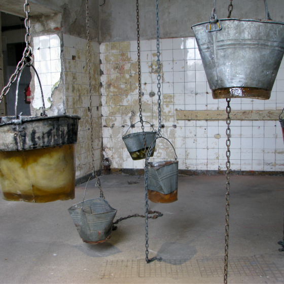Dariusz Sitek - 25