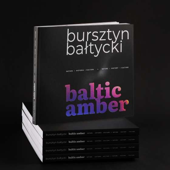 Baltic Amber. NATURE | HISTORY | CULTURE, opracowanie graficzne albumu, skład | MSB/IAA