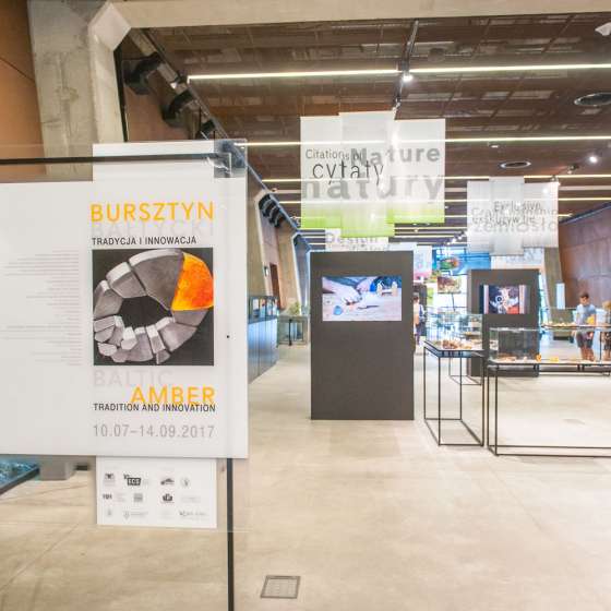 Bursztyn Bałtycki. Tradycja i innowacja
