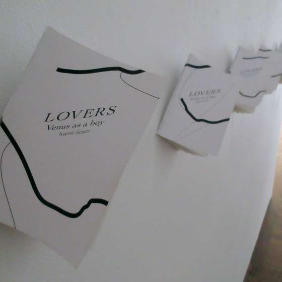Kamil Sosin, „Lovers”, Promotor: prof. Józef Murzyn, Akademia Sztuk Pięknych im. Jana Matejki w Krakowie 