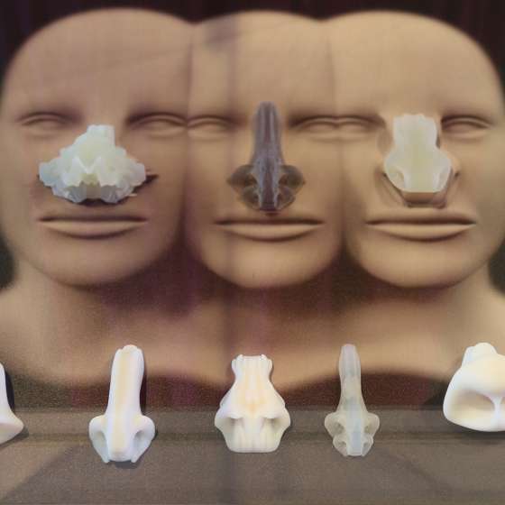 Who nose? - Transhumanistyczne spekulacje
