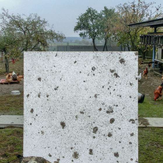bez tytułu 
