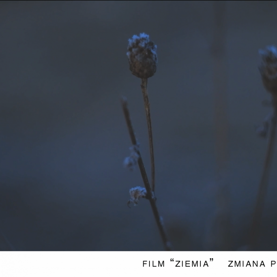 Ziemia
